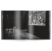 Load image into Gallery viewer, New York Street Diaries