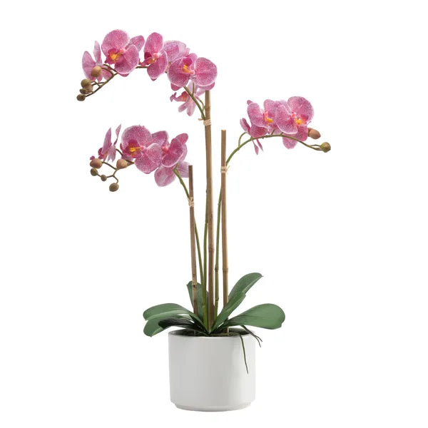 Ava Faux Potted Triple Stem Orchid