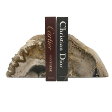 Load image into Gallery viewer, Petrified Wood Bookends Set of 2