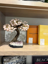 Load image into Gallery viewer, Large Bonsai Tree (36 Branches)