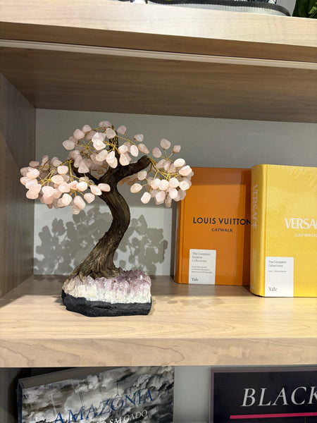 Large Bonsai Tree (36 Branches)