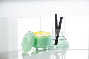 Vivid Diffuser