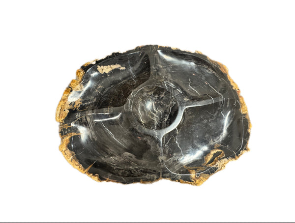 Petrified Wood Sectional Platter - XXL