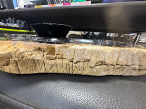 Petrified Wood Sectional Platter - XXL