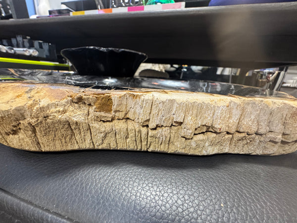 Petrified Wood Sectional Platter - XXL
