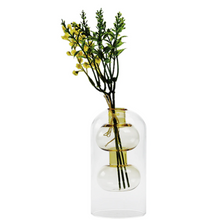 Load image into Gallery viewer, Clear Glass Vase