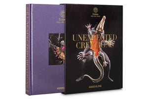 Unexpected Creations