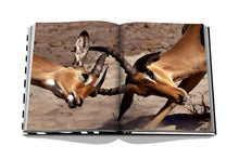 Load image into Gallery viewer, African Adventures: The Greatest Safari on Earth