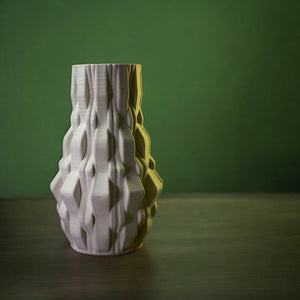 Ceramic Abstract Vases