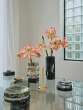 Load image into Gallery viewer, Pietra Vase Antico