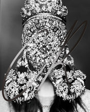 Load image into Gallery viewer, Carine Roitfeld Fantasies