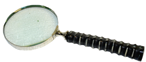 MAGNIFIER