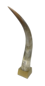African Horn on Brass/Wood Stand.