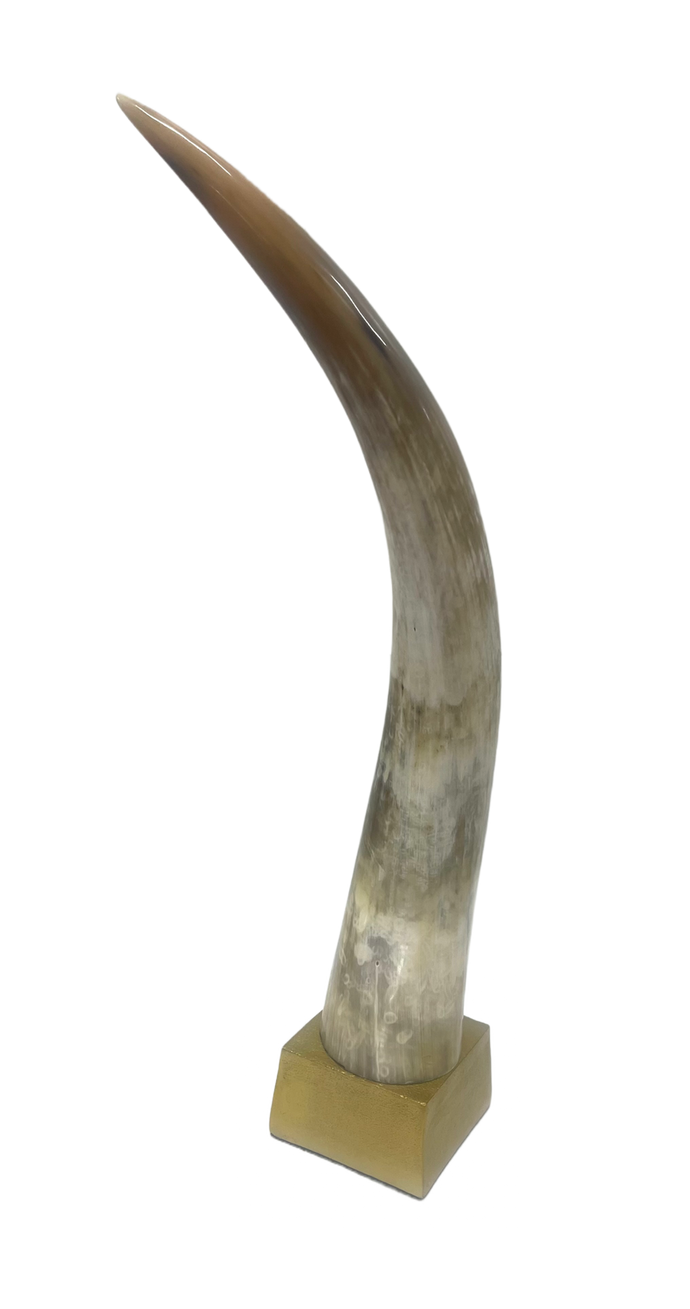 African Horn on Brass/Wood Stand.