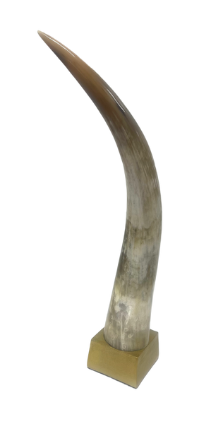 African Horn on Brass/Wood Stand.