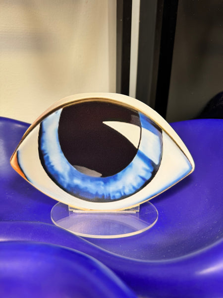 2D Flat Mysterious Eye