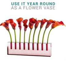 Load image into Gallery viewer, Beautiful Lucite Oil Menorah/or Decorative Flower Vase