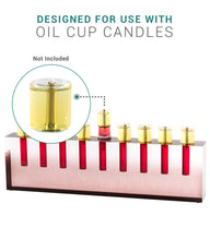 Load image into Gallery viewer, Beautiful Lucite Oil Menorah/or Decorative Flower Vase