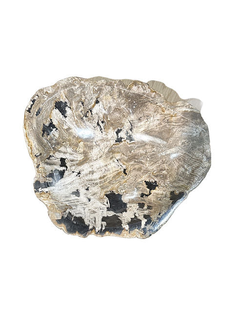 Petrified Wood Bowl - Small