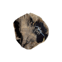 Load image into Gallery viewer, Petrified Wood Coaster Set of 4