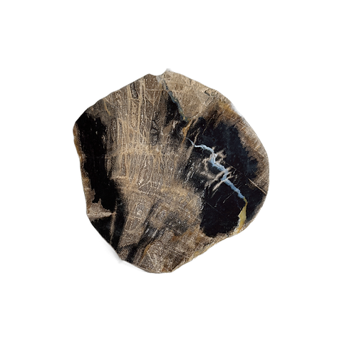 Petrified Wood Coaster Set of 4