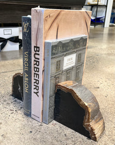 Petrified Wood Bookends Set of 2