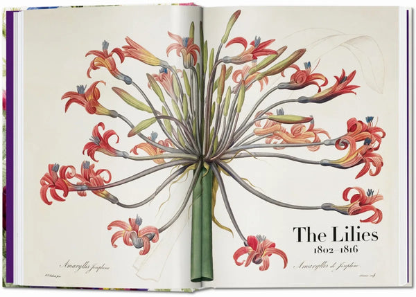 Redouté. The Book of Flowers. 40th Ed.