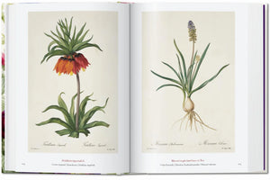 Redouté. The Book of Flowers. 40th Ed.