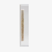 Load image into Gallery viewer, Mezuzah Medium White