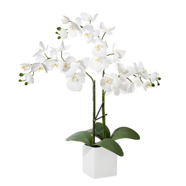 Ava Faux Potted Triple Stem Orchid
