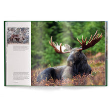 Load image into Gallery viewer, Hunting: The Ultimate Book