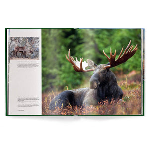 Hunting: The Ultimate Book