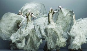 Alexander McQueen: Savage Beauty