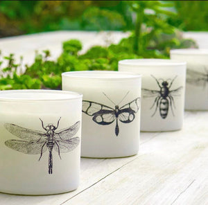 Citronella Triple Wick Candles