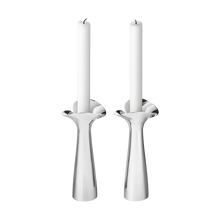 Load image into Gallery viewer, Bloom Botanica 2pc. Candle Holder Set / Stainless Steel