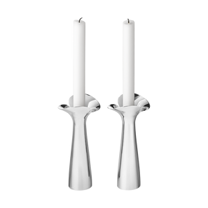 Bloom Botanica 2pc. Candle Holder Set / Stainless Steel