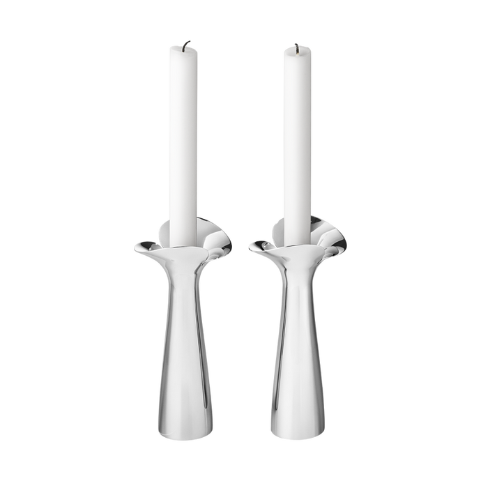 Bloom Botanica 2pc. Candle Holder Set / Stainless Steel