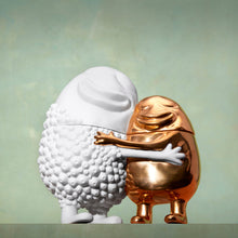 Load image into Gallery viewer, Haas Huggers Box ( White Gold)