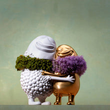Load image into Gallery viewer, Haas Huggers Box ( White Gold)