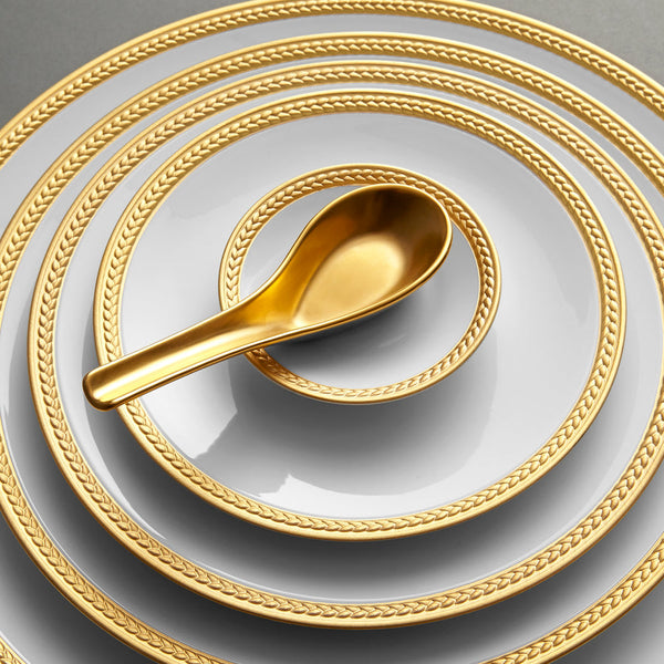 Chinese Spoon