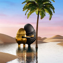 Load image into Gallery viewer, Haas Huggers Box ( Black Gold)