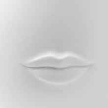 Load image into Gallery viewer, Mr. &amp; Mrs. Muse Vase