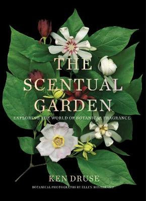 Scentual Garden: Exploring the World of Botanical Fragrances