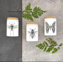 Load image into Gallery viewer, Citronella Cork Top Candles