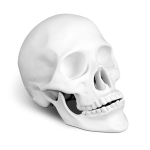 Skull - White
