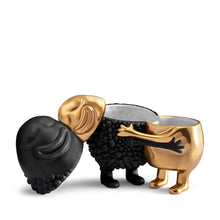 Load image into Gallery viewer, Haas Huggers Box ( Black Gold)