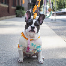 Load image into Gallery viewer, Noelle Cotton Cat &amp; Dog Harness