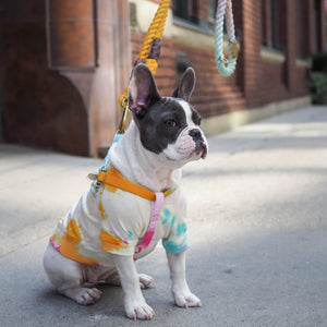 Noelle Cotton Cat & Dog Harness