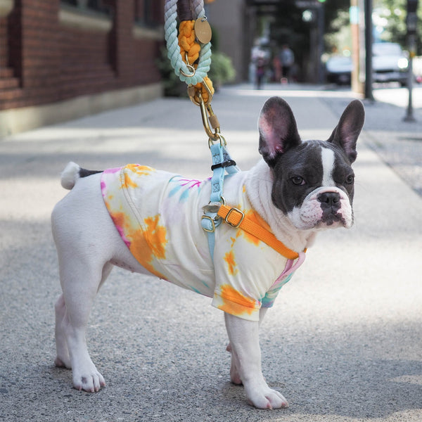 Noelle Cotton Cat & Dog Harness