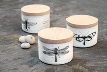 Load image into Gallery viewer, Citronella Triple Wick Candles